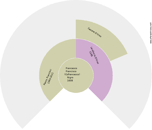 Elisa Cofrancesco Circle Diagram