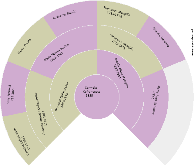 Vincenzo Mongillo Circle Diagram