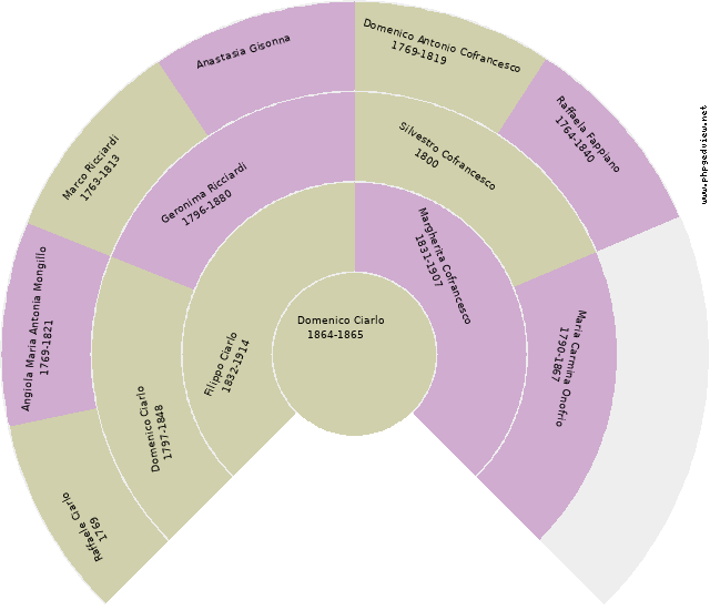Nicola Ricciardi Circle Diagram