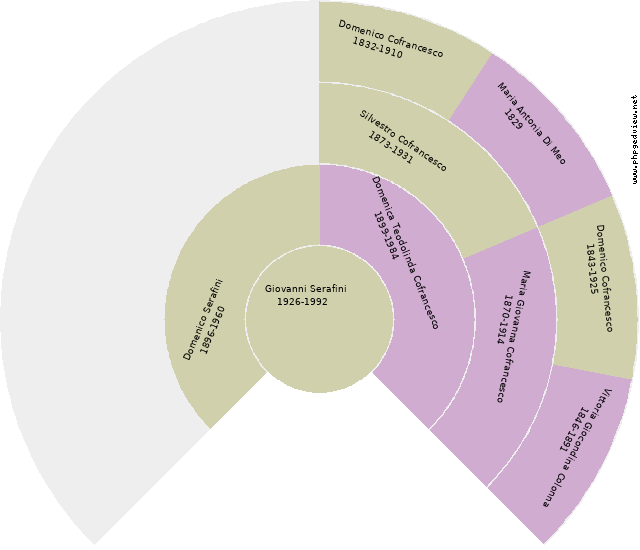 Domenico Cofrancesco Circle Diagram