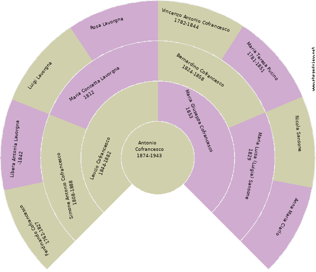 Giulia Fiore Circle Diagram