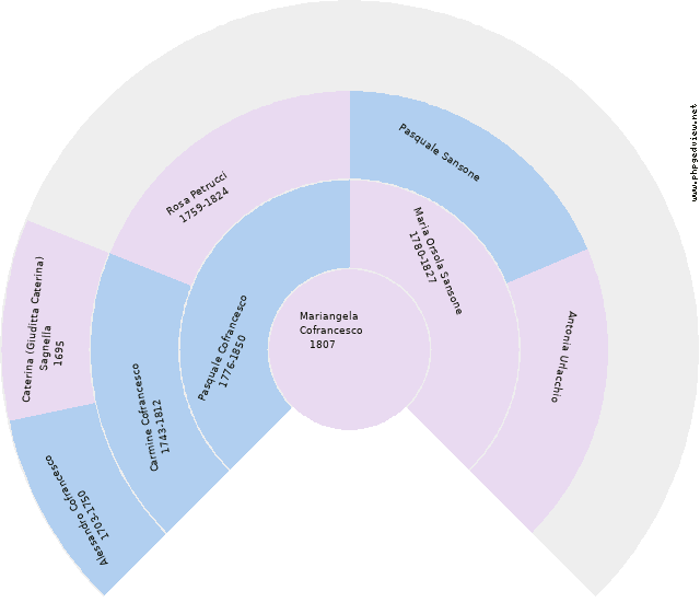 Zenobia Cestari Circle Diagram