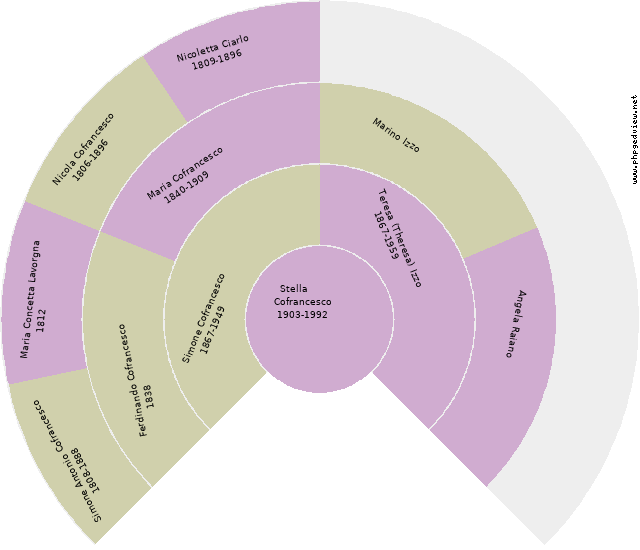 Fabio Tacinella Circle Diagram