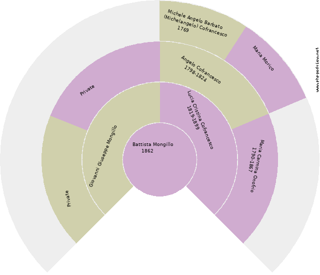 Maria Carolina Cofrancesco Circle Diagram