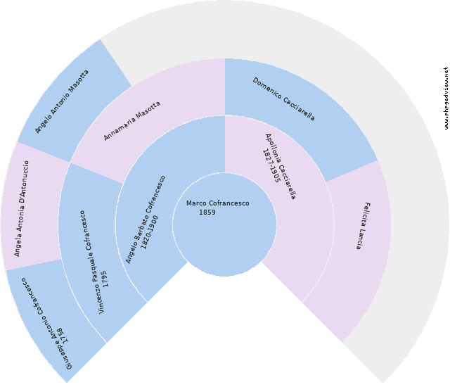 Alessandra Rapuano Circle Diagram