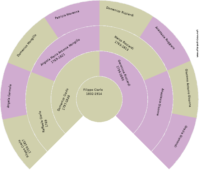 Dianora Nicolai Francisci Circle Diagram