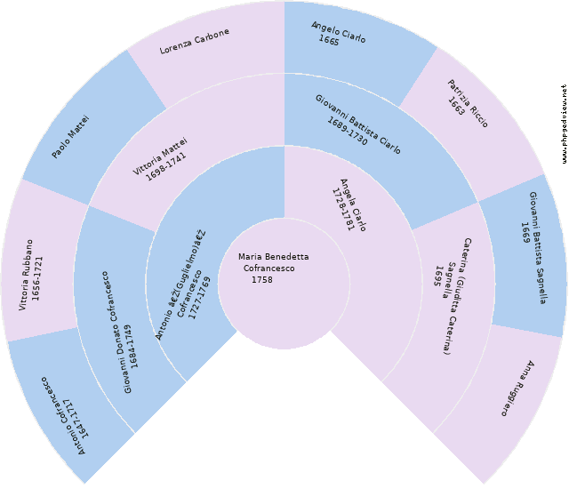Elvira Esposito Circle Diagram