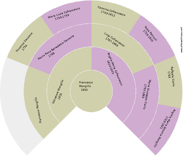 Giovanna Mattei Circle Diagram