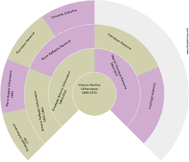 Domenico Ciarlo Circle Diagram