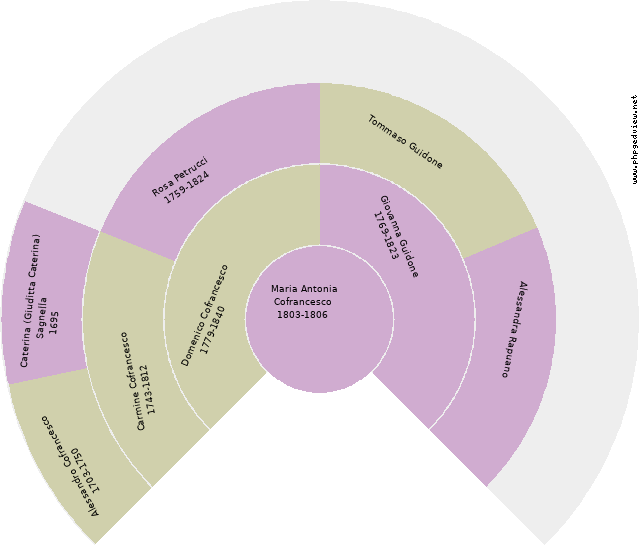 Domenico Mattei Circle Diagram