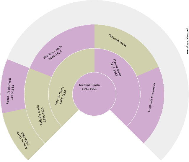 Domenico Mattei Circle Diagram