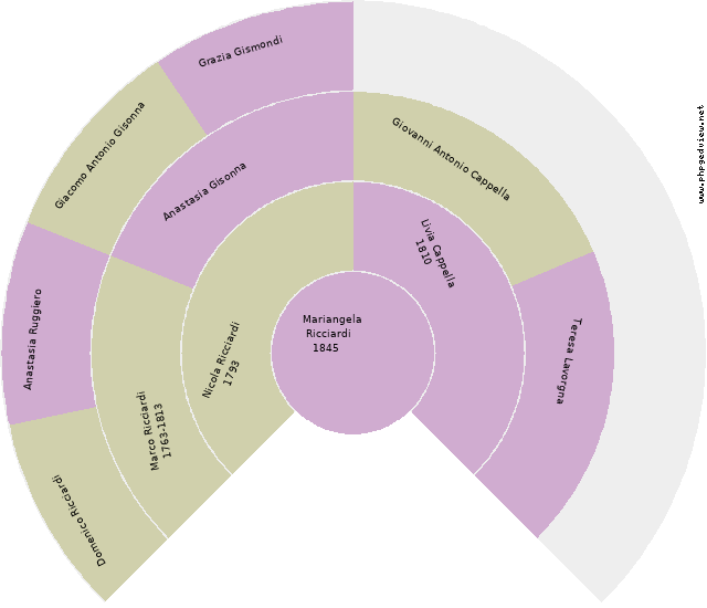Vincenzo Antonio Cofrancesco Circle Diagram