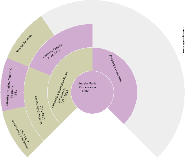 Margherita Meola Circle Diagram