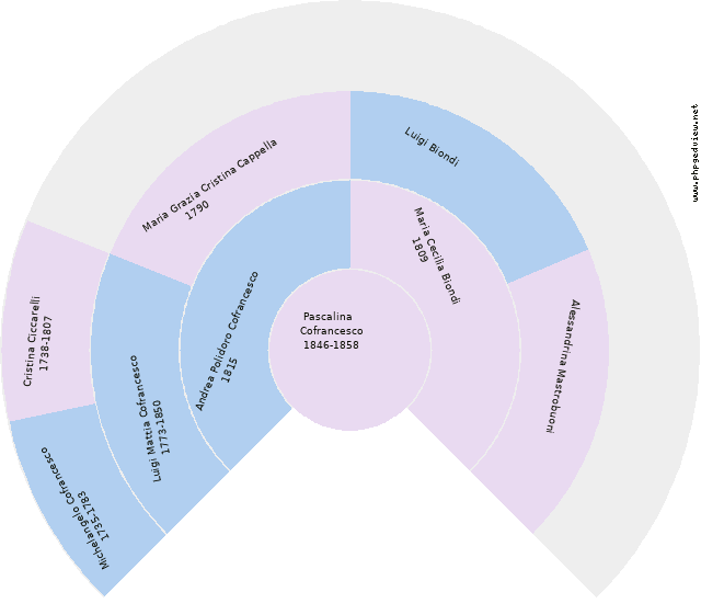 Marta Cofrancesco Circle Diagram